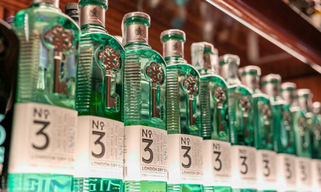 Un brindisi con No.3 Gin per il World Aperitivo Day