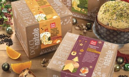 Natale 2025, la dolcezza in chiave bio: le novità di Baule Volante, Fior di Loto e La Finestra sul Cielo